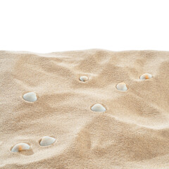 Naklejka na ściany i meble On the Beach - Sand dune with shells in front of a white background - clipping path included