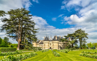 Fototapeta na wymiar Chateau de Chaumont-sur-Loire, a castle in the Loire Valley of France