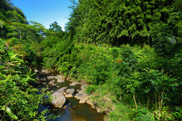 Beautiful views of Maui North coast seen from famous winding Road to Hana