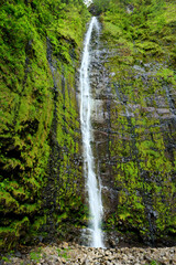 Obraz premium Famous Waimoku Falls waterfall at the head of the Pipiwai Trail, above Seven Sacred Pools on the Road to Hana. Maui, Hawaii.
