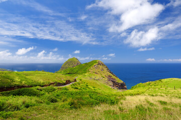 Fototapeta na wymiar Beautiful tranquil view of Maui landscape with white clouds over green fields