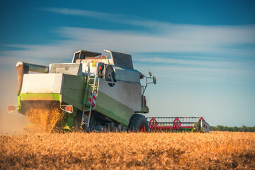 Combine harvester agriculture machine harvesting golden ripe wheat field