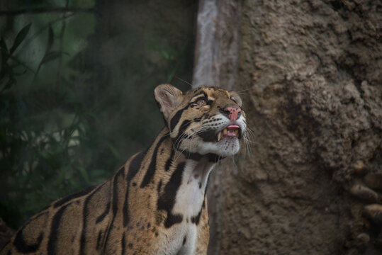 Zoo. Animals