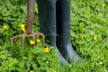 Old Garden Fork and Rubber Boots with Weeds and Wild Flowers