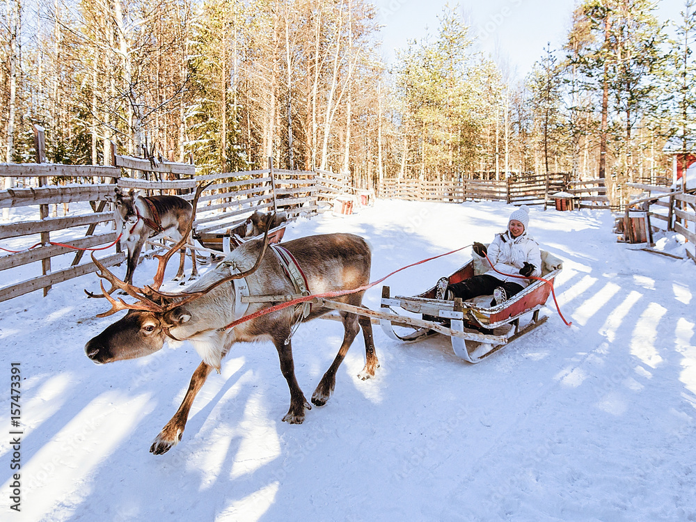 Poster Girl while reindeer sledge ride at winter Rovaniemi