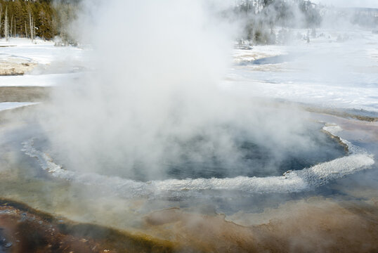 Hot Spring, Winter, Yellowstone NP