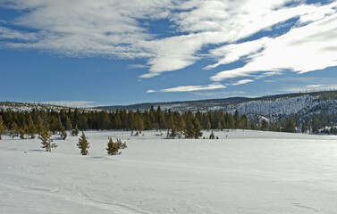 Winter, Yellowstone NP