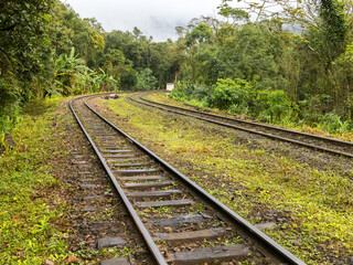 Fototapeta premium Train tracks in brazilian rain forest