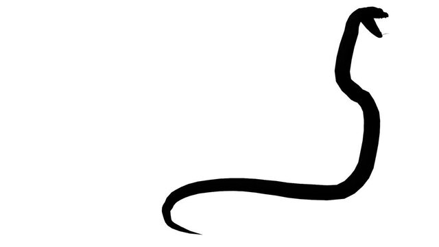 Snake & jungle carpet python attack,sliding decorative non venomous,wild animal herpetology sketch silhouette background.