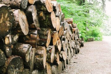 Wood Pile
