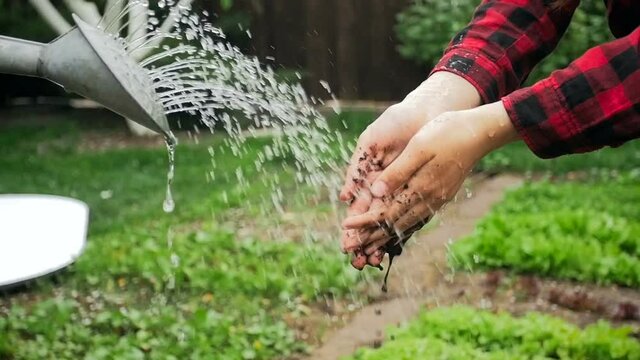 Slow motion footage of female farmer washing dirty hands under water from watering can at garden