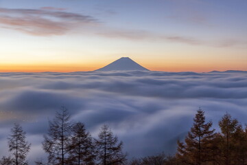 Fototapeta premium 夜明けの富士山と雲海 山梨県韮崎市甘利山にて