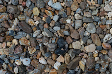 Rock Garden
