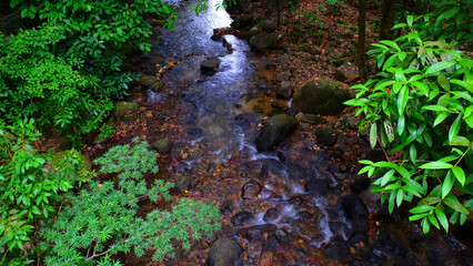 stream of waterfall in the tropical forest., Thailand.