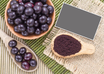 Fruits and acai powder originating from the Amazon  (Euterpe oleracea)