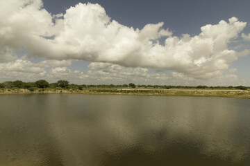The technological eolic park in Guamare, RN, Brazil