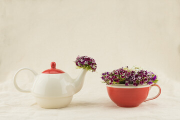 Sweet william flowers in teapot and tea cup