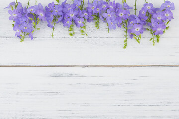 Purple flowers on white wood background with copy space