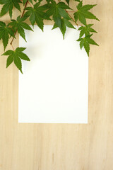 モミジの葉と白紙　木目背景