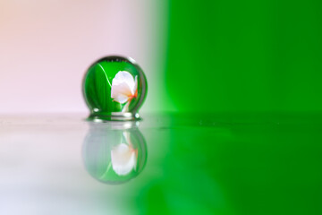 Abstract oil paint brush, Close up dew droplets on a blade of grass and pink flower reflecting