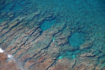 Clear view of underwater corals and pools in the water