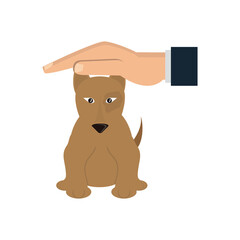 hand with sick pet dog care design vector illustration