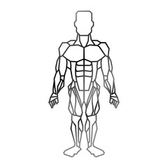 Fototapeta na wymiar Human male muscles icon vector illustration graphic design