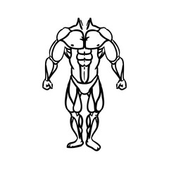 Human male muscles icon vector illustration graphic design