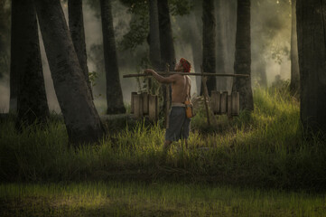 Asian farmer carrying bamboo cylinder and looking at sugar palm trees.