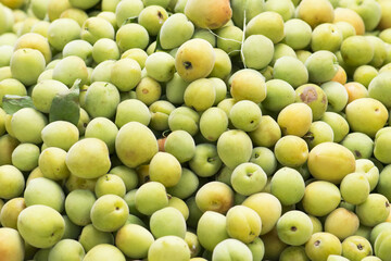 background from freshly green plum