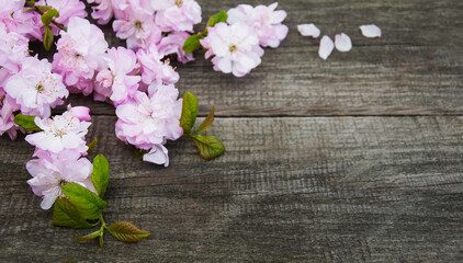 Naklejka na ściany i meble Spring sakura blossom