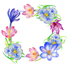 Wildflower crocuses  flower frame in a watercolor style isolated.