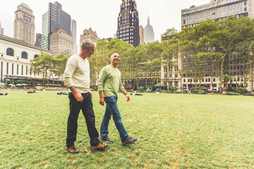 Gay couple walking at park in New York