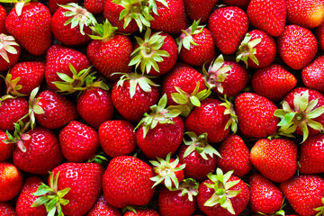 Background of fresh strawberries. The view from the top.