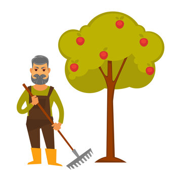 Elderly man with rake stands beside apple tree