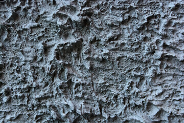 Texture of grey cement plaster