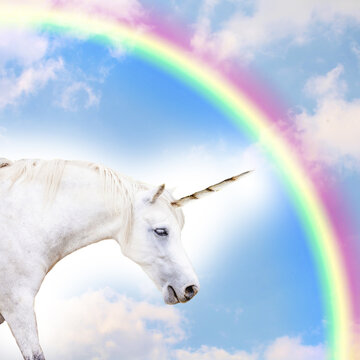 Fototapeta unicorn