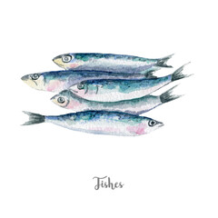 Image of fresh fish illustration. Hand drawn watercolor on white background printed on Printed Glass Splashbacks