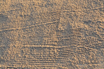 Spruren im Sand