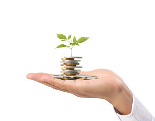 Hand human hand putting coin to money