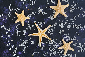 Fototapeta na wymiar Seashell and starfish on dark background. Top view