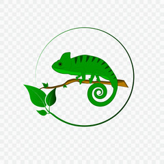 Concept with chameleon logo