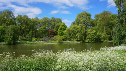 Obraz na płótnie Canvas Photo of nature in St. James park, London, United Kingdom