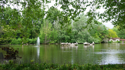 Photo of nature in St. James park, London, United Kingdom