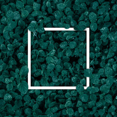 Square frame, Creative layout made of tropical flowers and leaves with paper card note. Blank for advertising card or invitation. Nature concept.