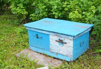 Fototapeta na wymiar Close up on Wooden Ukrainian Blue Beehive with Garden Background. Natural Beekeeping in Your Backyard. Dadant bee hives.