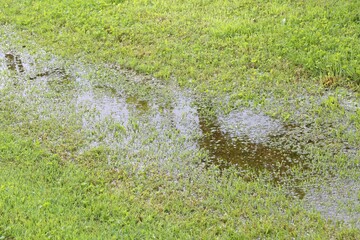 Big puddle in the wetland