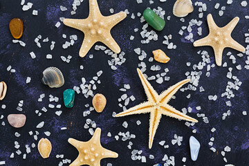 Fototapeta na wymiar Seashell and starfish on dark background. Top view