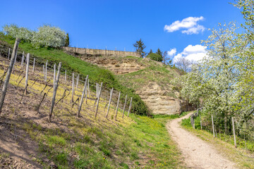 Fototapeta na wymiar Hiking area Bad Kreuznach in the spring