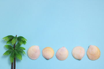 夏イメージ　貝殻とヤシの木